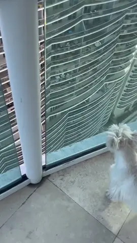 🤯🤯🤯🤯🤯 #dothescottsslide #OhNo #ohnononoo 