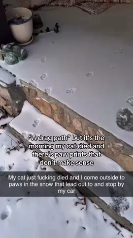 I miss you Moxie #fyp 