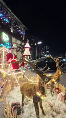 #اربيل #كوردستان🌹☃️🏕️