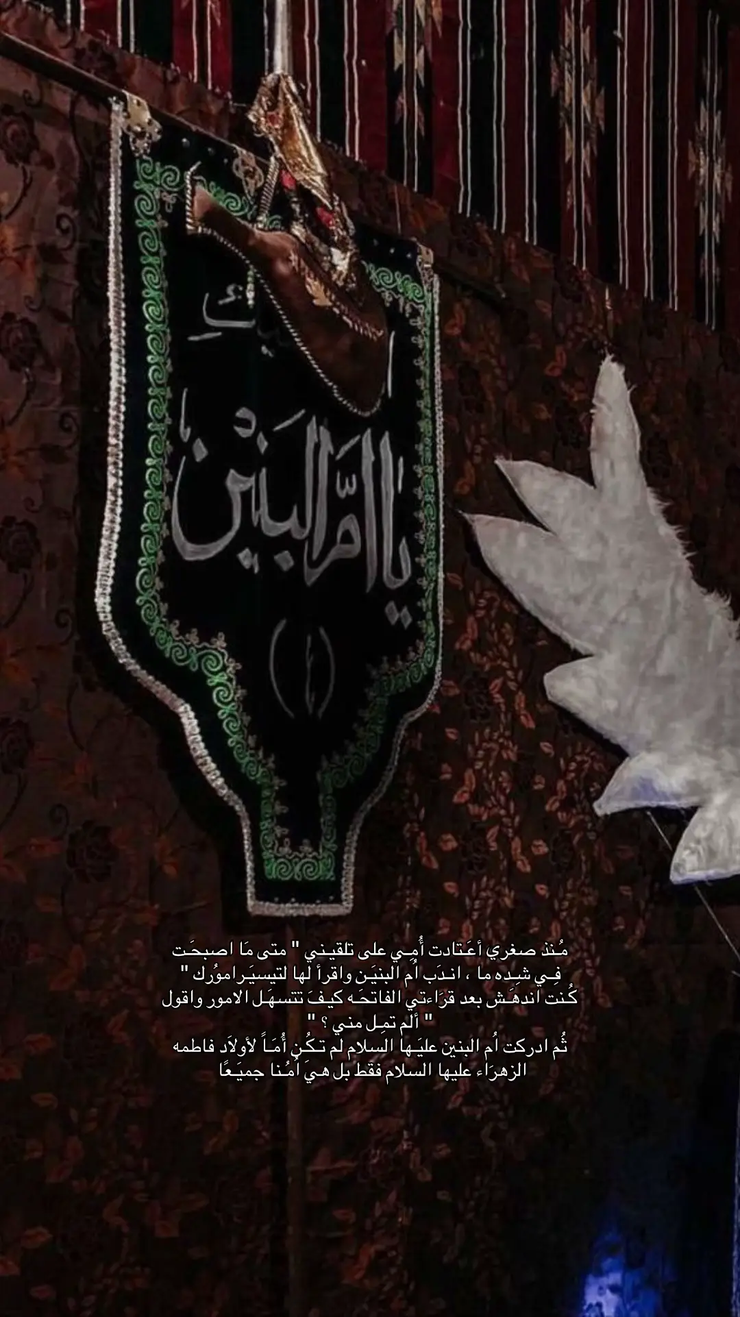 #ام_البنين #explorer #fyp #313 #ياعلي 