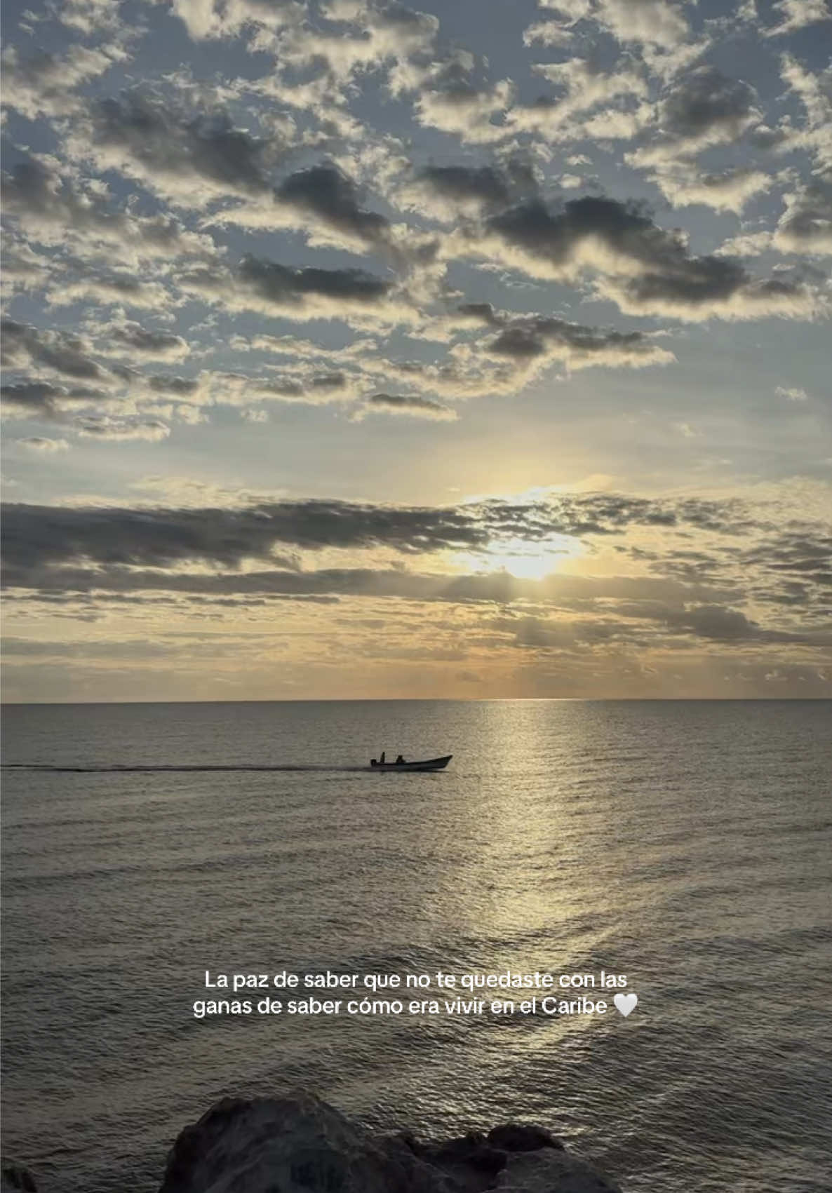 🤍🤍🤍✨ it’s a dream  #foryou #fyp #paratii #viral #tulum 