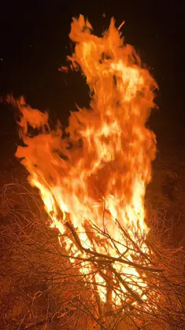 #الشعب_الصيني_ماله_حل😂😂 #تونس_المغرب_الجزائر #راحة_نفسية #الكاف #الطويرف 