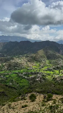 صدقة جارية لروح والدي ولجميع موتى المسلمين… اللهم اجعل تلاوة القرآن نورًا لقبورهم، ورحمةً تملأ مضاجعهم، ورفعةً لدرجاتهم. اللهم آنس وحشتهم واغفر لهم واجعل قبورهم روضةً من رياض الجنة. 🤍🌿 #قران #قران_كريم #قران_كريم 