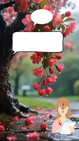 مزايا العضويه  #princess #ريادة_الأعمال #الشعب_الصيني_ماله_حل😂😂🙋🏻‍♂️ #ترندات_تيك_توك #للتواصل_واتساب_ 