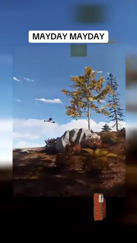 #rust #rusttok #rustclips