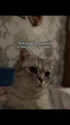 Həmişə üzün gülsün brat✌️😂@taağss😉Dostlar aktivi qaldıraq✊🖤