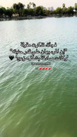 فجأة تذكرت مقولة 