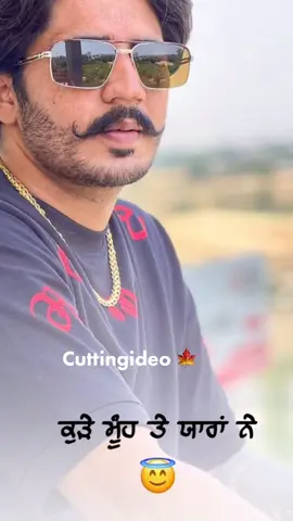 #videoviral #trendingsongs #punjabisong #punjabistatus #viral?fypシ 