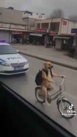 Nağaraq qardaş #keşfet #kesfett #kəşfet #kesfetteyiz #kesfetbeniöneçıkart 