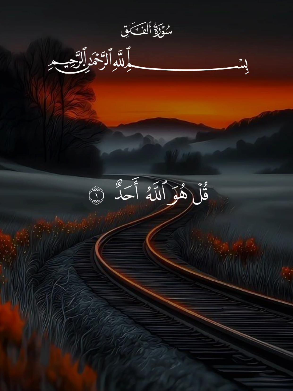 #قران #quran #قران_كريم #Allah #اللهم_صلي_على_نبينا_محمد 