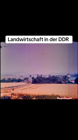 #viral #ddr#zeitreise #landwirtschaft #ost 