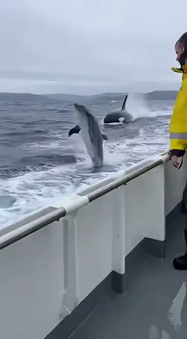 #سبحان_الله_وبحمده_سبحان_الله_العظيم #لايك_متابعه_اكسبلور #اكسبلورexplore #اكسبلور #parati 