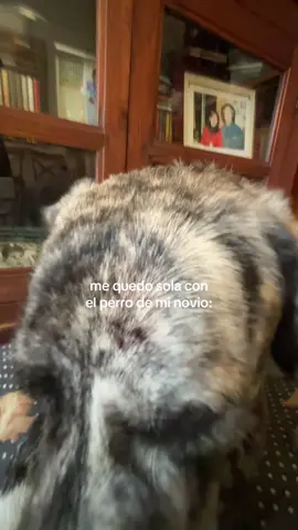 el sabe algo estoy segura  #fyp #parati 