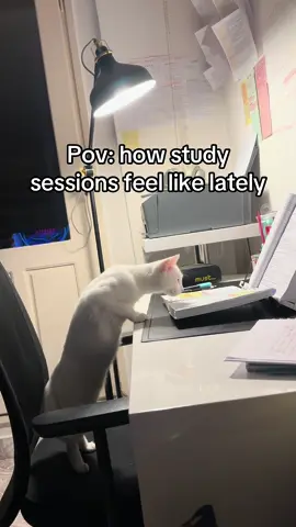 #law #fy #fyp #foryou 