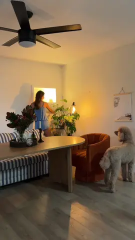 Vlogmas day 2 Reset day🎄♥️ #riaandfia #christmas #fyp #wlw #Vlogmas 