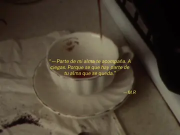 de mi poemario: “Cuando no te volví a ver”  #escritos #poemario #poemas #escritoramexicana #fyp 