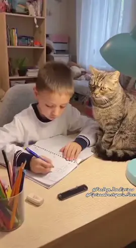 #livefest2025 #creatorsearchinsights #communityfest2025 