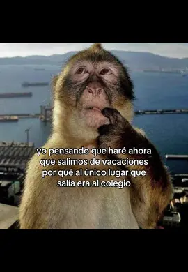 Contenidooo!| #foryou #fyp #colegio #vacaciones #parati @TikTok 