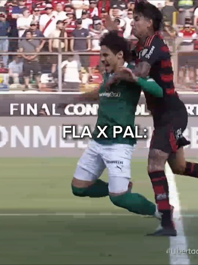 É assim que se joga contra o Palmeiras!! 🤬☠️🔥 #flamengo #palmeiras #raca 