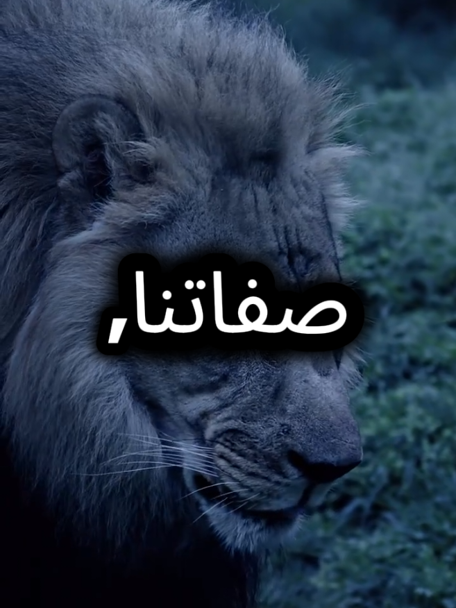 ستعودون عندما تخونكم الكلاب وستعرفون قيمة الوفاء عند الذئاب  #اقتباسات_عبارات_خواطر #اقتباسات #عبارات 