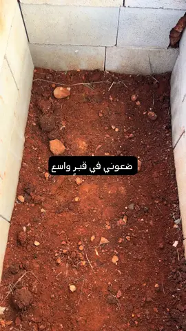 والنفسُ مظانُّها في غدٍ جَدَثٌ” أي: أن مصير الإنسان المحتوم هو القبر، مهما طال عمره. تذكير بأن الدنيا فانية وأن النهاية واحدة لكل البشر.                   #الأمين_على_الأرواح💛❤ #أنيس_الروح #الأمين#foryoupage❤️❤️ #edit 