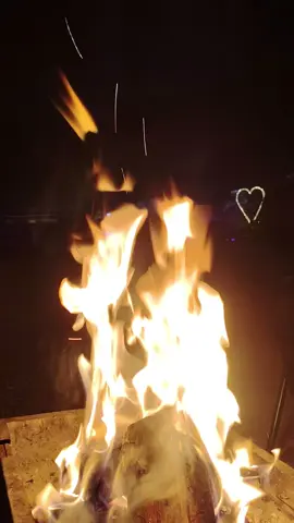 جلسات ابو فيصل للحجز 0569732749 #لبن #جلسات_شتويه #مخيمات #جلسات_ابو_فيصل #fyp 