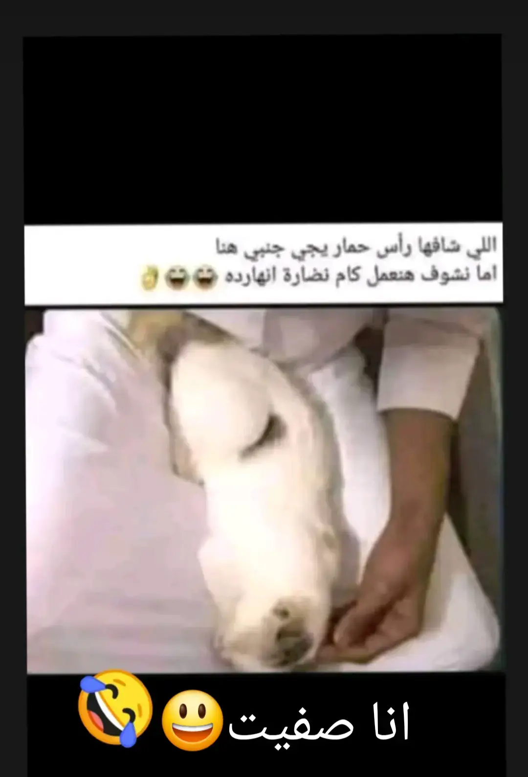 #Love #رجل_الجدي #capricorn #lion #sagittarius 