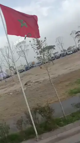 #مغنية_____وجدة🇲🇦🇩🇿🇩🇿🇩#وجدة_جرسيف_الناظور_بركان#msirda#تحياتي_لجميع_المشاهدين_والمتابعين#🇩🇿🇲🇦🇹🇳🇱🇾🇱🇧🇸🇩🇮🇶🇸🇦🇯🇴🇾🇪🇸🇾🇦🇪🇸🇩🇪🇬 