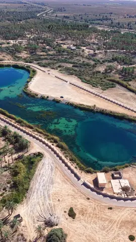 أشجار النخيل تزيين عين #تاورغاء جميلة🌴#لـيبيـا  ByOsama Abujnah📸