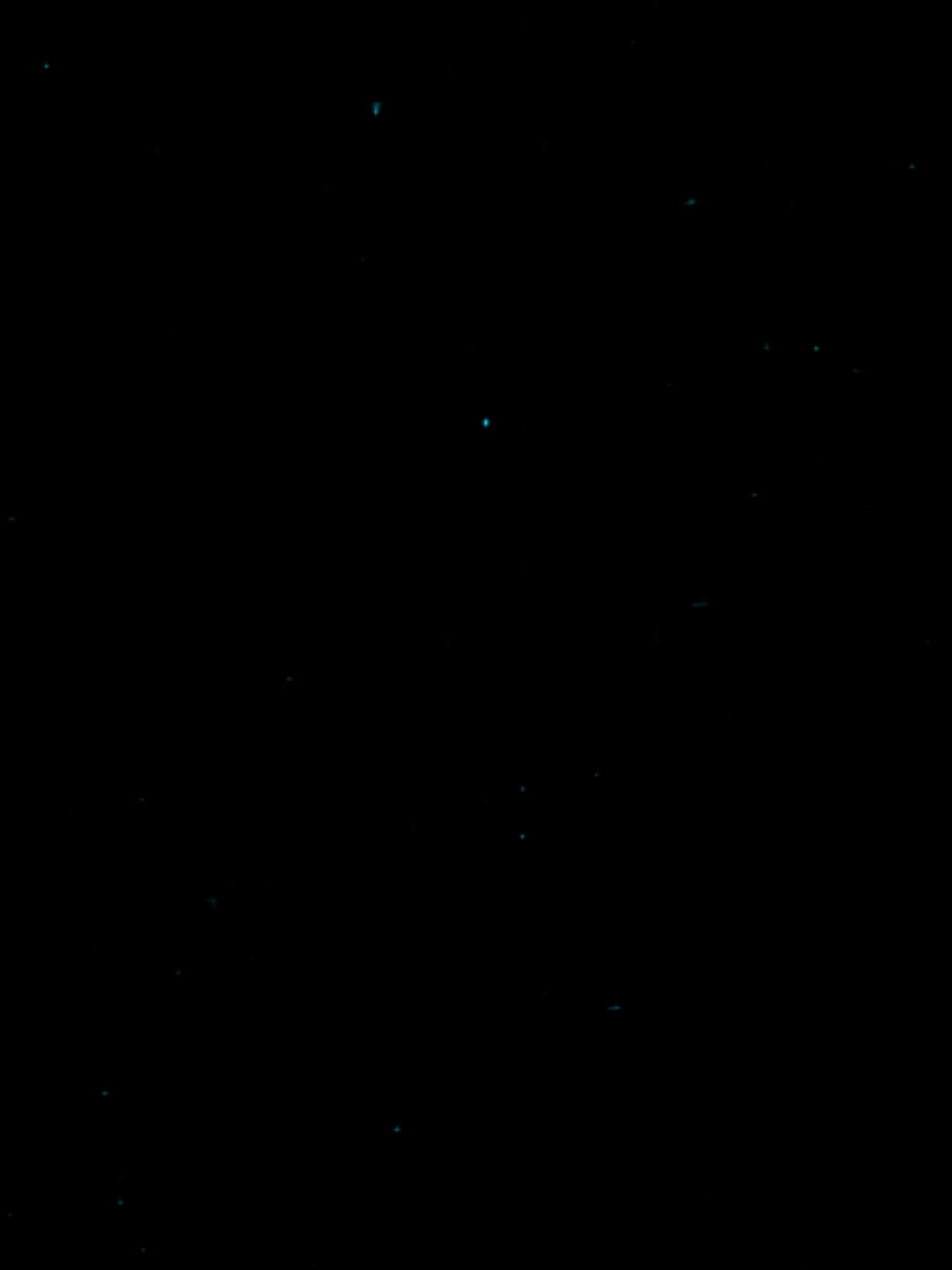 سيدنا قبل الالام مات ودفن في القبر وقام 🤍🙏♥️#ترانيم_حالات_واتس #كيهك #درنكة_اسيوط #العدرا_مريم #ترانيم_وعظات 