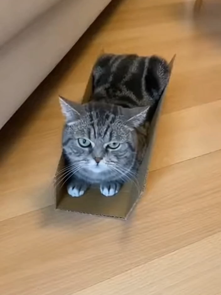 Новая квартирка