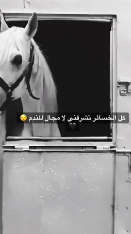 #خيل_وخياله🐎 #fyp #viral #اقتباسات #اكسبلورexplore 