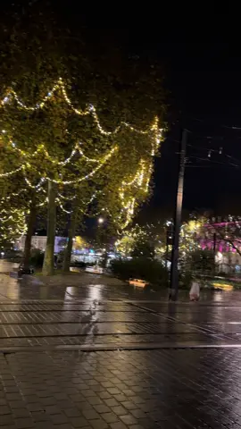 #france🇫🇷 #nantes_france🇨🇵 #nantes #fyp 