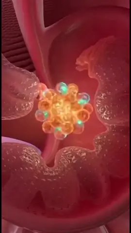 what happens when you eat salmon slices and how their glowing nutrients travel to your baby in a stunning inside-the-womb scene #anatomy #fyp #pregnancy #ia #humanbody 