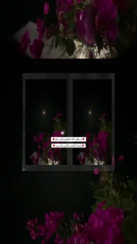 #كسسسسسسبلوور♡✿🌹🌹🌹🌹✔ #كسسسسسسبلوور♡✿🌹🌹🌹🌹✔ 