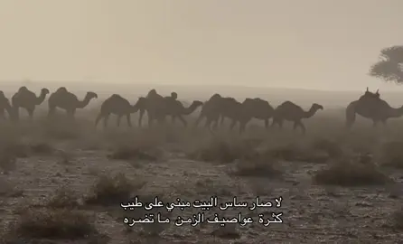 #اكسبلورexplore #الشعب_الصيني_ماله_حل😂😂 #شعر #قصايد #fypシ゚ 