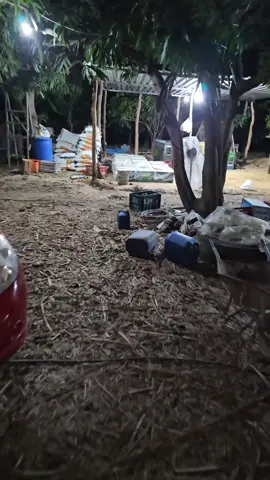 muito vento pra pulverização 