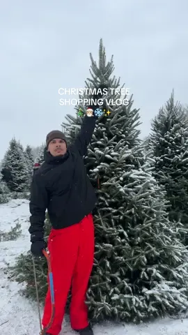 she said it’s the perfect size 😮‍💨🪚 #wolfie #christmastree #christmas 