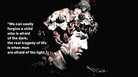 I like this editing style, might do more of it. #quote #philosophy #nichetok #flourishingphilosophy #fyp 