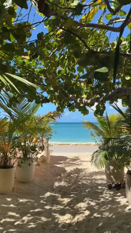 Cayman archives🍋🍋🍋 #foryoupage #vacay 👙🍹🍋‍🟩