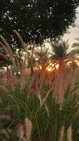 #يارب_فوضت_امري_اليك 