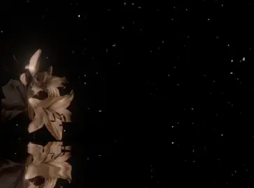 <😭ولی این آهنگ #آهنگ #song #kurdishsong #fyp #فوریو_پاشم_بیام_جرت_بدم 