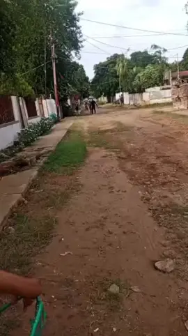 los 3 Doritos Después a un funcionario de la policía nacional bolivariana que agredió a una mujer y a un joven por reclamarle sobre el porque maneja a altas velocidades y casi atropelló a un niño con autismo. #3doritosdespues #policiasenvenezuela #abusopolicial #contenidopolemico #noticiasen1minuto 