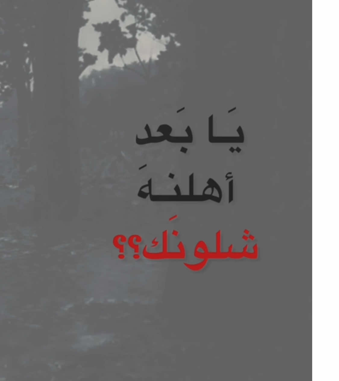 يَـا بَعد أهلنـهَ شلونَـك؟؟ || #سيد_سلام_الحسيني 