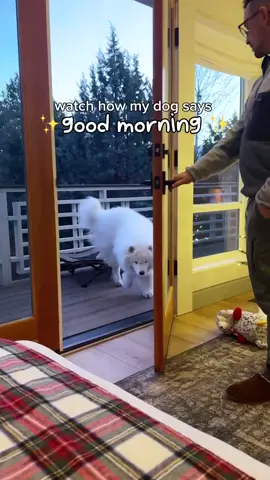 How can you have a bad day if your day starts like this? 🥹