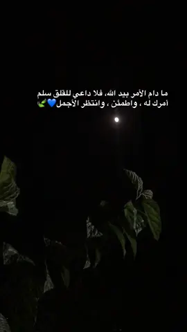 ما دام الأمر بيد الله، فلا داعي للقلق سلم أمرك له ..❤️‍🩹#الحمدلله_دائماً_وابداً #fyp #foryoupage #viralvideo #dark 