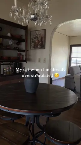 He’s fine 🙂 #overstimulated #catsoftiktok #spanishstylehome 