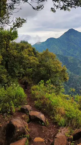 #Meme #MemeCut #CapCut 