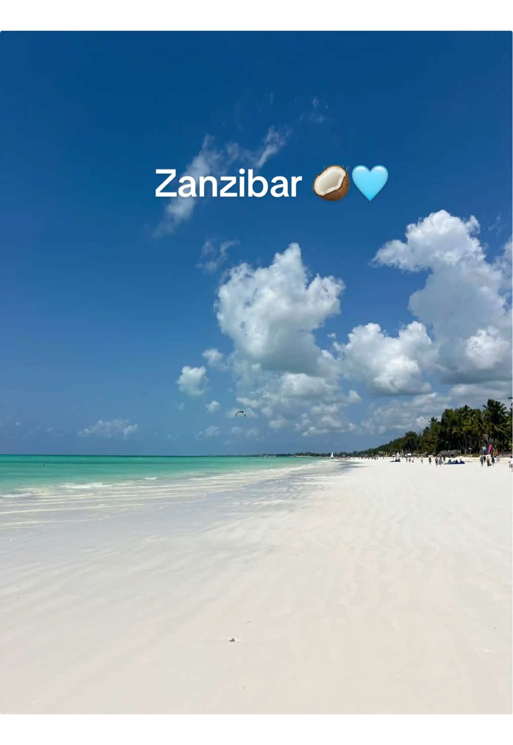 Mon cœur est conquis 🩵#pourtoiii #zanzibar #travel #paradise #dream 