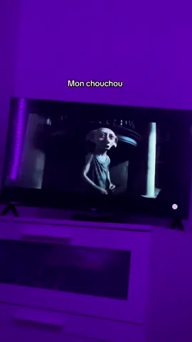 🥰 #hp #harrypotter #dobby #elfe #potterhead 